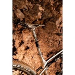 Dt-swiss DT Swiss D 232 ONE Carbon Telescopische Zadelpen - 60mm Hub - 30,9mm -BASIL Winkel 368440 03 d 795150