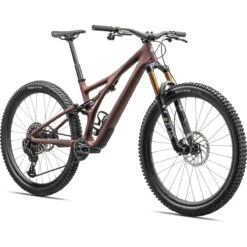 Specialized STUMPJUMPER PRO - 29" Carbon Mountainbike - 2023 - Satin Rusted Red / Dove Grey -BASIL Winkel 93323 10 sj pro 05 1513807