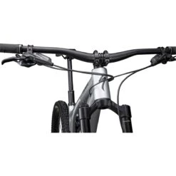 Specialized STUMPJUMPER EVO ELITE ALLOY - Mountainbike - 2023 - Gloss Silver Dust / Black Tint -BASIL Winkel 96323 40 sj evo elite alloy 02 1515046