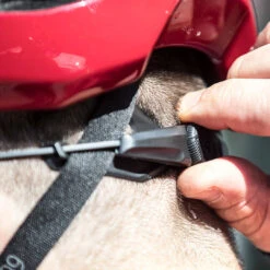 BBB Cycling Maestro BHE-09 Helm - Matt Black -BASIL Winkel bbb maestro 0126 1310786