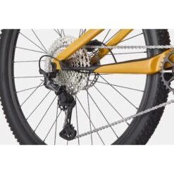 Cannondale SCALPEL CARBON SE 2 - 29" Mountainbike - 2023 - Mango 15 Cannondale SCALPEL CARBON SE 2 - 29" Mountainbike - 2023 - Mango -BASIL Winkel cannondale scalpel carbon se 2 mountainbike 2022 mango 6 1406817