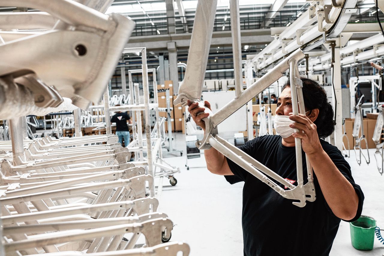 Voorkant -BASIL Winkel data85676978 169006