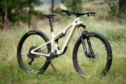 Yeti Cycles SB120 T1 - 29" Carbon Mountainbike - 2023 - Dust -BASIL Winkel dsc03844 1437244