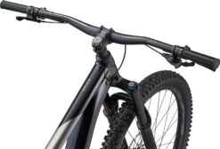 Giant REIGN 2 - 29" Mountainbike - 2023 - Black/metal -BASIL Winkel my23reign2colora black metal mtb 5 1536694
