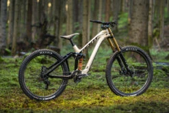 Giant Glory Advanced Pro - Carbon Mountainbike - 2024 - Shoreline/Carbon -BASIL Winkel my24 glory adv product webres 23 1567965