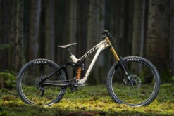 Giant Glory Advanced Pro - Carbon Mountainbike - 2024 - Shoreline/Carbon -BASIL Winkel my24 glory adv product webres 27 1567968