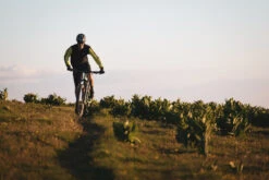 Northwave Clan MTB Flat Pedal Schoenen - Off White 99 -BASIL Winkel northwave clan mtb flat pedal shoe off white 99j 867558