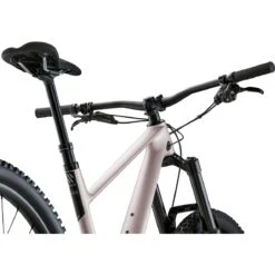 SCOR 4060 LT NX - 29" Carbon MTB - 2024 - Powder Rose -BASIL Winkel scor 4060 lt nx 03 1572267