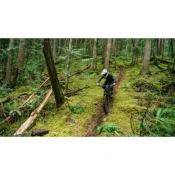 Specialized Gambit Full Face Helm - White Sage -BASIL Winkel specialized gambit full face helmet black 11 1095368