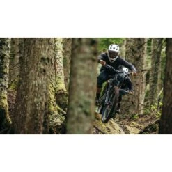 Specialized Gambit Full Face Helm - White Sage -BASIL Winkel specialized gambit full face helmet black 7 1095364